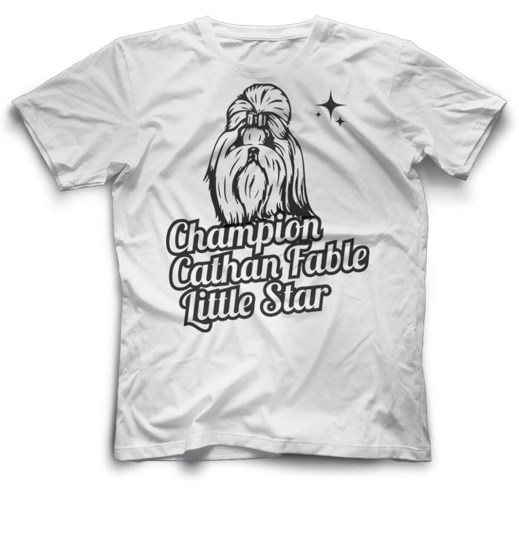 Champion 2024 star shirt